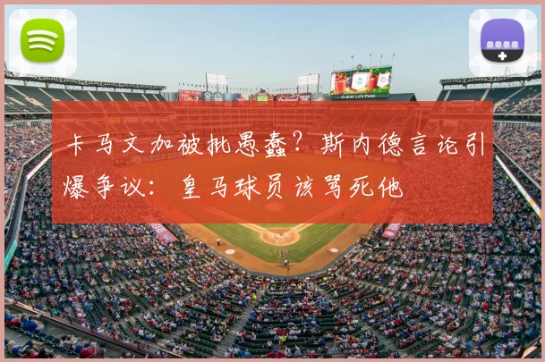 卡马文加被批愚蠢?斯内德言论引爆争议:皇马球员该骂死他